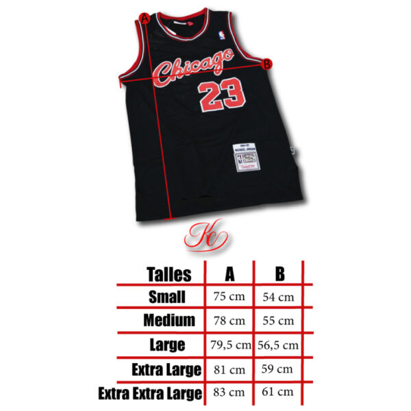 Camiseta Chicago Bulls Negra // Nº23 Jordan