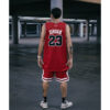 Camiseta Chicago Bulls Classic Edition // Nº23