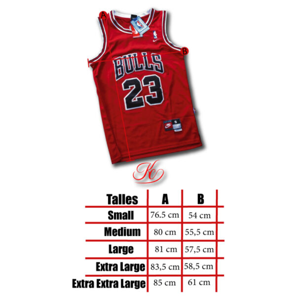 Camiseta Chicago Bulls Classic Edition // Nº23