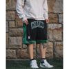 Short Celtics Negro