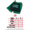 Short Celtics Negro