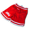 Short-Chicago-Rojo-Jordan-2 Short Chicago Rojo Jordan